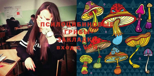 дмт Горняк