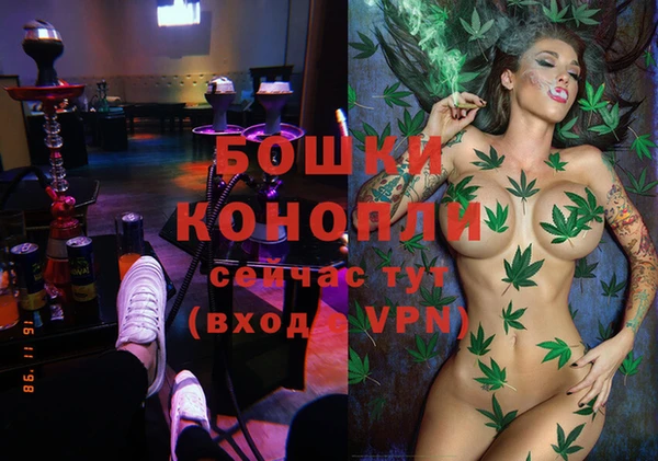 дмт Горняк